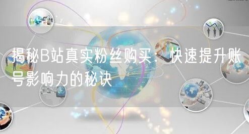 揭秘B站真实粉丝购买：快速提升账号影响力的秘诀