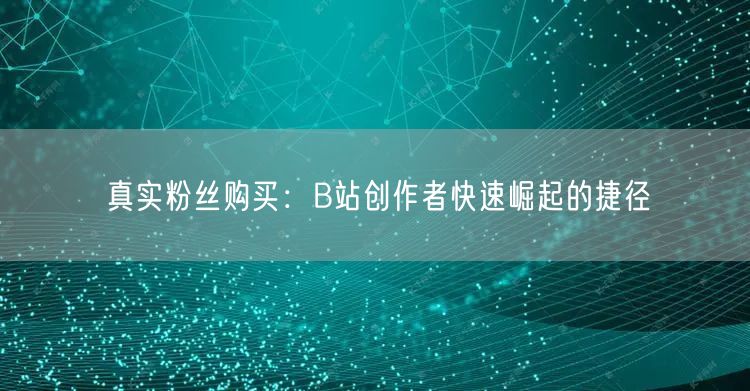 真实粉丝购买：B站创作者快速崛起的捷径