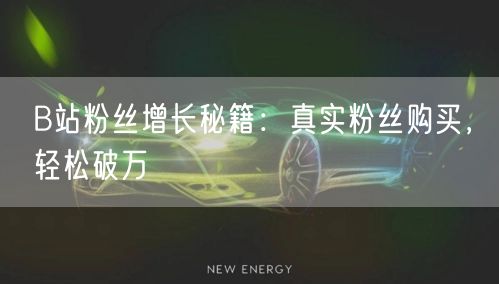 B站粉丝增长秘籍：真实粉丝购买，轻松破万