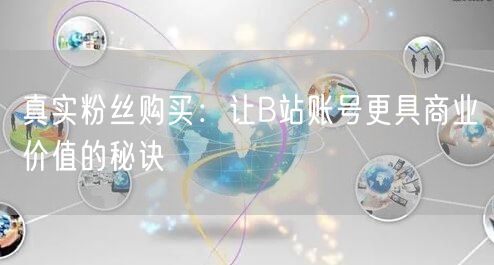 真实粉丝购买：让B站账号更具商业价值的秘诀