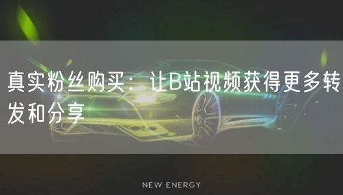 真实粉丝购买：让B站视频获得更多转发和分享