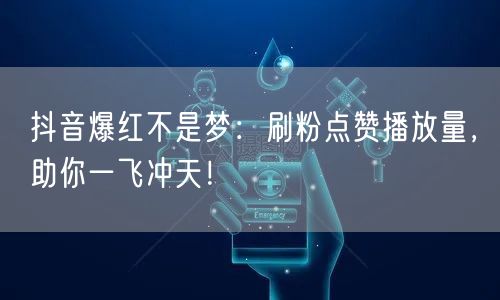 抖音爆红不是梦：刷粉点赞播放量，助你一飞冲天！