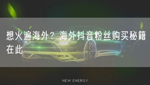 海外抖音粉丝增长难？粉丝购买秘籍助你海外推广