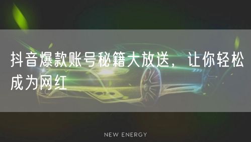 抖音爆款账号秘籍：网红速成与粉丝流量双增长