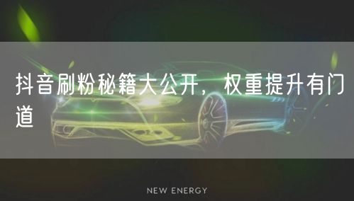 抖音刷粉秘籍揭秘，快速提升权重涨粉技巧