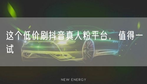 这个低价刷抖音真人粉平台，值得一试