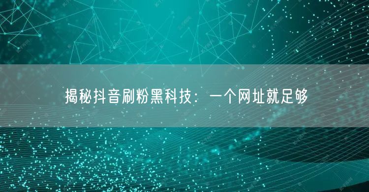 揭秘抖音刷粉黑科技：一个网址就足够