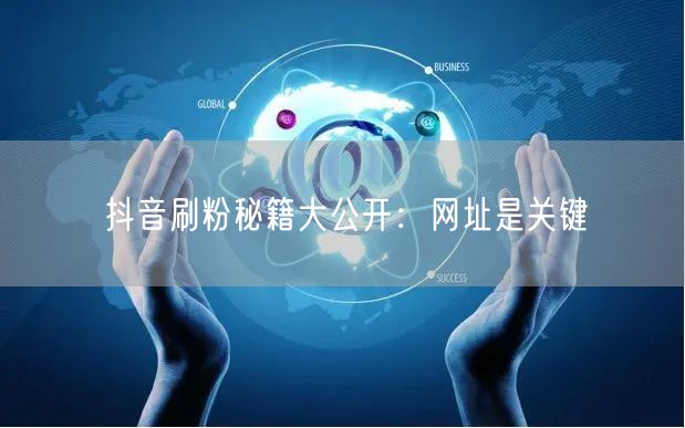 抖音刷粉秘籍大公开：网址是关键