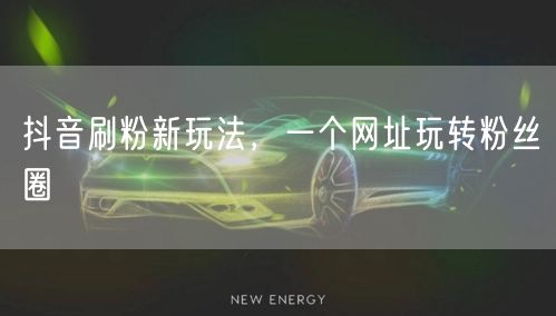 抖音刷粉新玩法，一个网址玩转粉丝圈