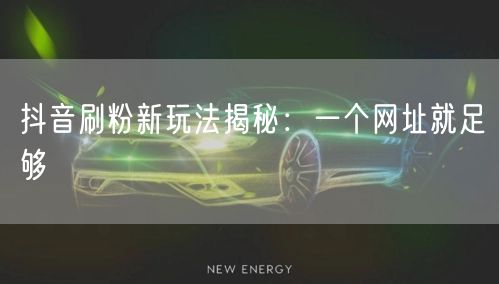抖音刷粉新玩法揭秘：一个网址就足够