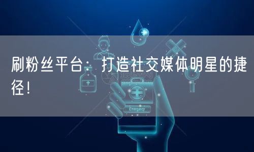 刷粉丝平台：打造社交媒体明星的捷径！