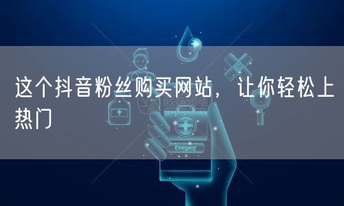 这个抖音粉丝购买网站，让你轻松上热门