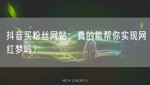 抖音买粉丝网站：真的能帮你实现网红梦吗？