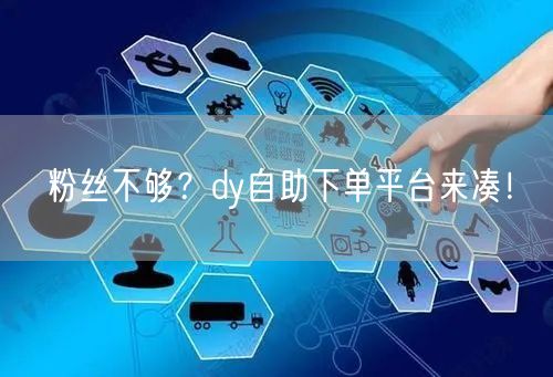 粉丝不够？dy自助下单平台来凑！