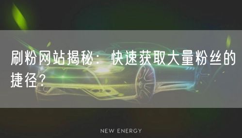 刷粉网站揭秘：快速获取大量粉丝的捷径？