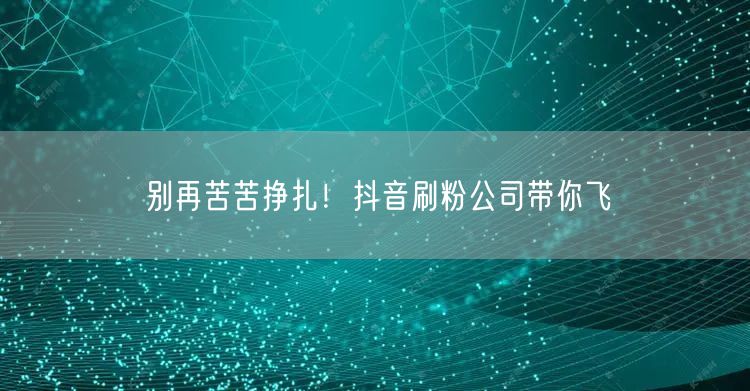 别再苦苦挣扎！抖音刷粉公司带你飞