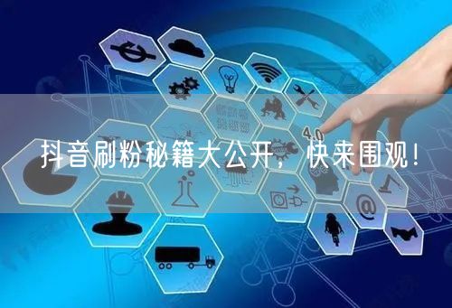抖音刷粉秘籍大公开，快来围观！