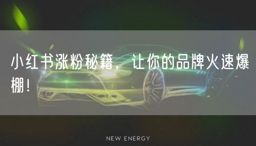 小红书涨粉秘籍：打造品牌爆棚的秘诀