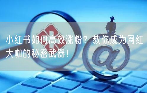 小红书涨粉秘籍：网红大咖的秘密武器！