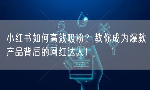 小红书高效吸粉秘籍：打造爆款产品网红达人流量王