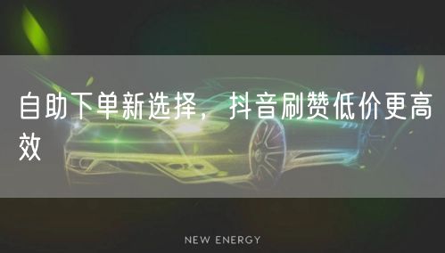 自助下单新选择，抖音刷赞低价更高效