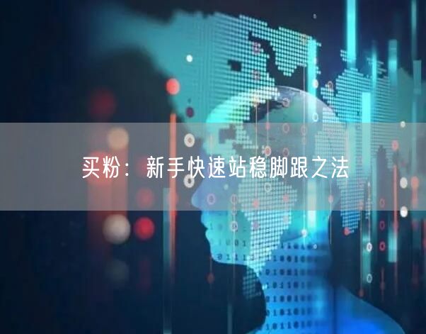 买粉：新手快速站稳脚跟之法