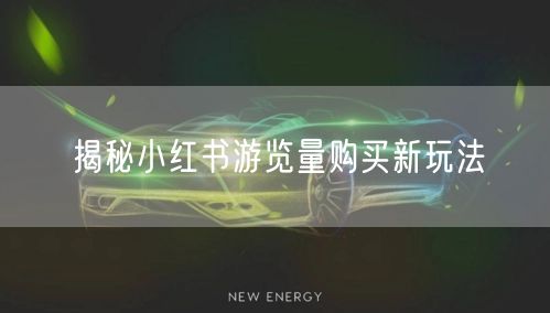 揭秘小红书游览量购买新玩法