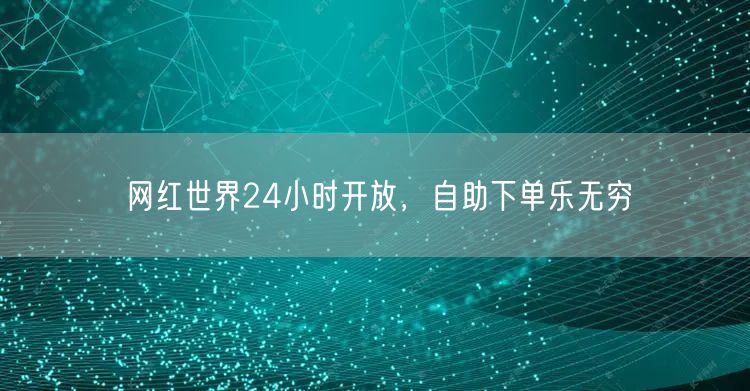 网红世界24小时开放，自助下单乐无穷