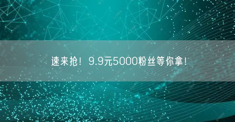 速来抢！9.9元5000粉丝等你拿！