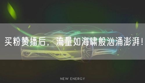 买粉赞播后，流量如海啸般汹涌澎湃！