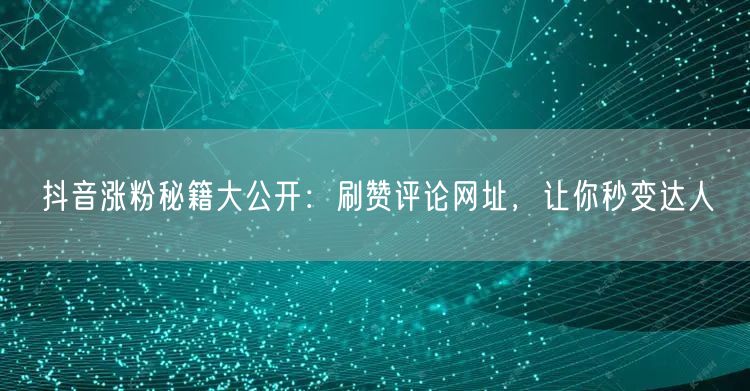抖音涨粉秘籍大公开：刷赞评论网址，让你秒变达人