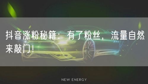 抖音涨粉秘籍：有了粉丝，流量自然来敲门！