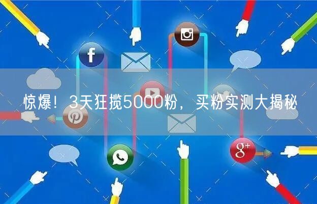 惊爆！3天狂揽5000粉，买粉实测大揭秘