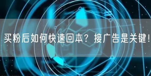 买粉后如何快速回本？接广告是关键！