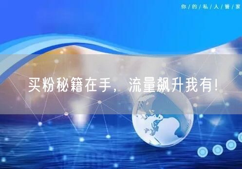 买粉秘籍在手，流量飙升我有！