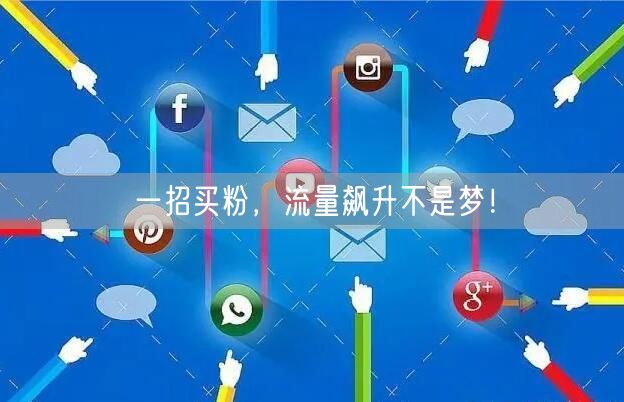 一招买粉，流量飙升不是梦！