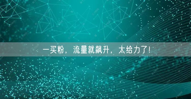 一买粉，流量就飙升，太给力了！