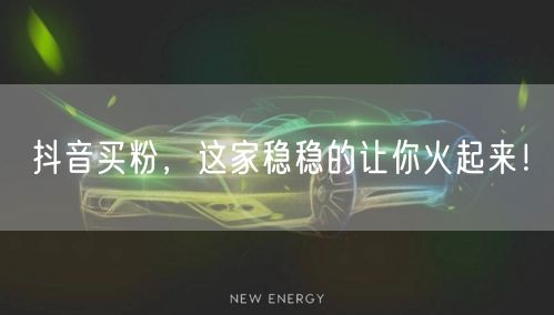 抖音买粉，这家稳稳的让你火起来！