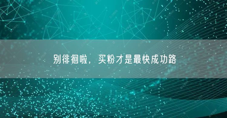 别徘徊啦，买粉才是最快成功路