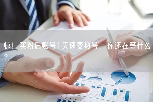 惊！买粉后账号1天速变热号，你还在等什么？