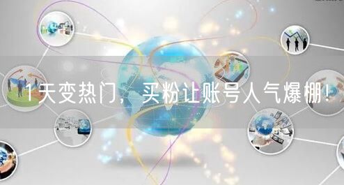 1天变热门，买粉让账号人气爆棚！
