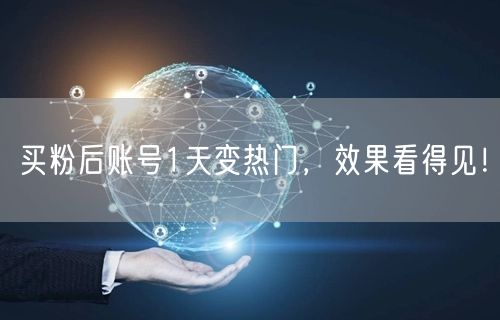 买粉后账号1天变热门，效果看得见！