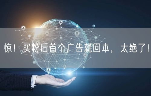 惊！买粉后首个广告就回本，太绝了！