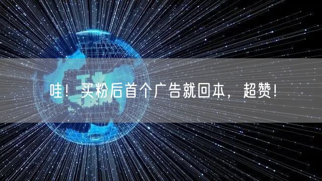 哇！买粉后首个广告就回本，超赞！