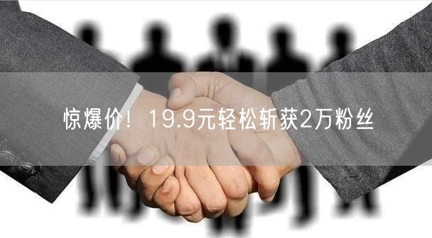 惊爆价！19.9元轻松斩获2万粉丝