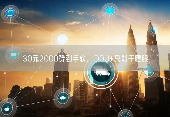 30元2000赞到手软，DOU+只能干瞪眼