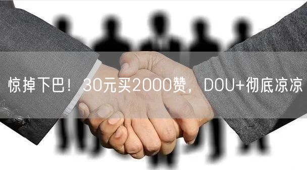 惊掉下巴！30元买2000赞，DOU+彻底凉凉