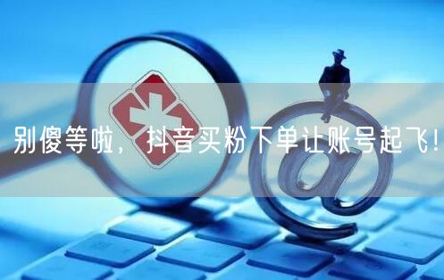 别傻等啦，抖音买粉下单让账号起飞！