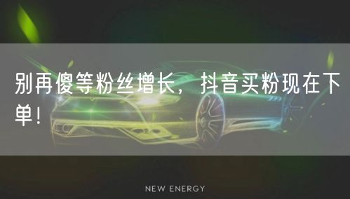 别再傻等粉丝增长，抖音买粉现在下单！