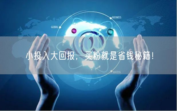 小投入大回报，买粉就是省钱秘籍！